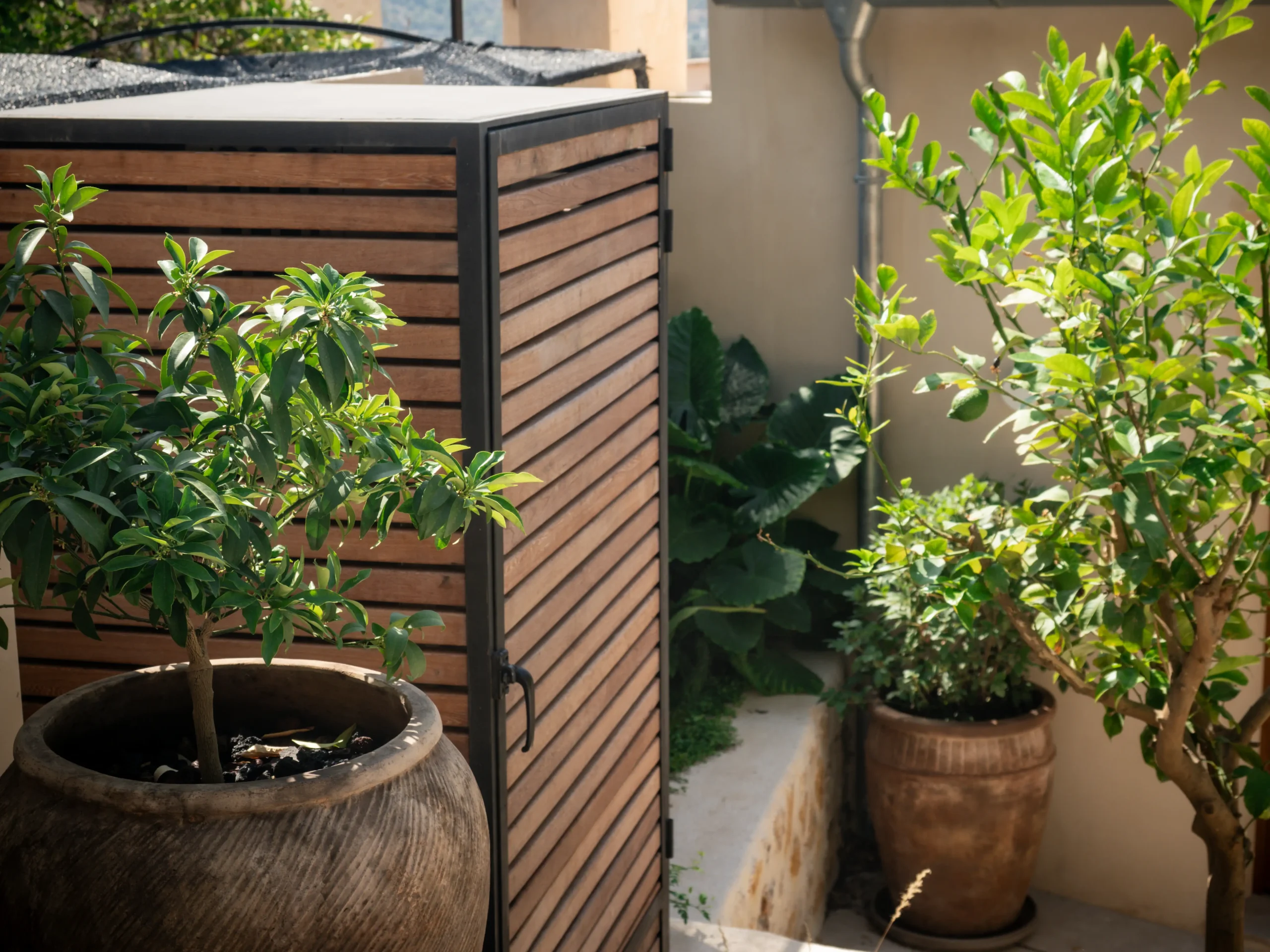 Terracotta pot beside slatted wood screen with dense herb planting.