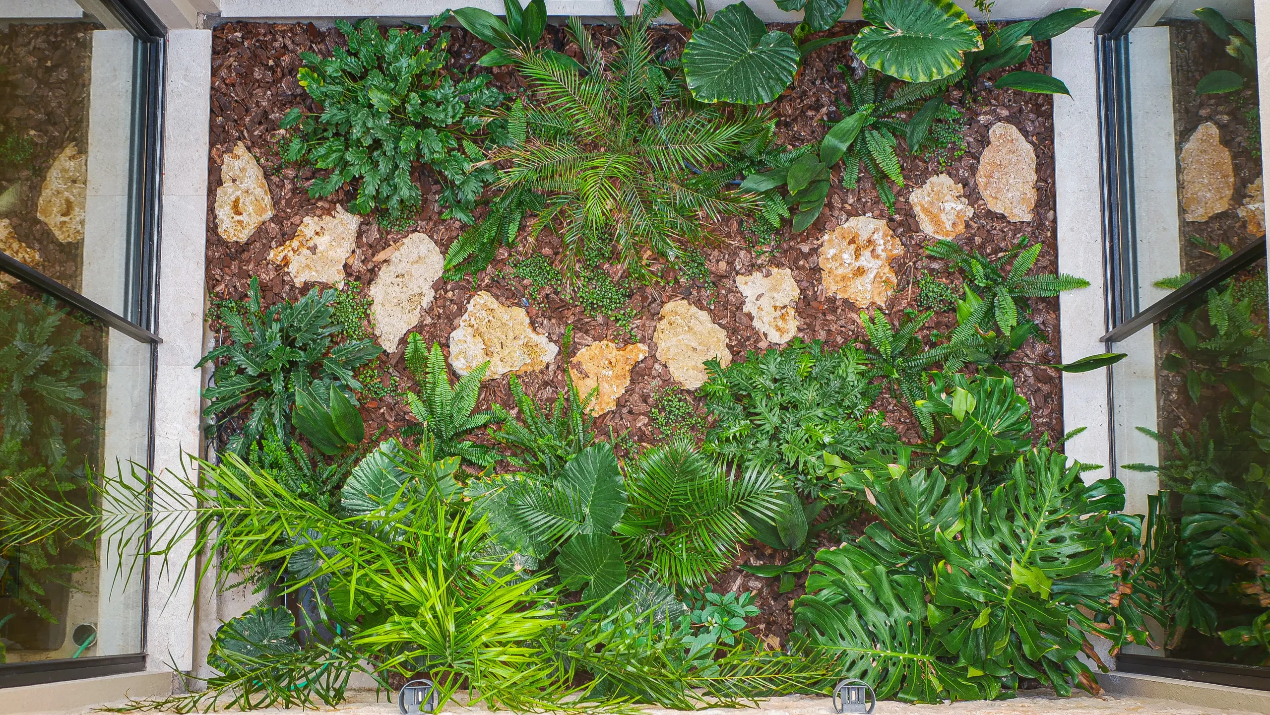 Shaded tropical-style garden with ferns and large-leaved foliage plants along a rocky path.