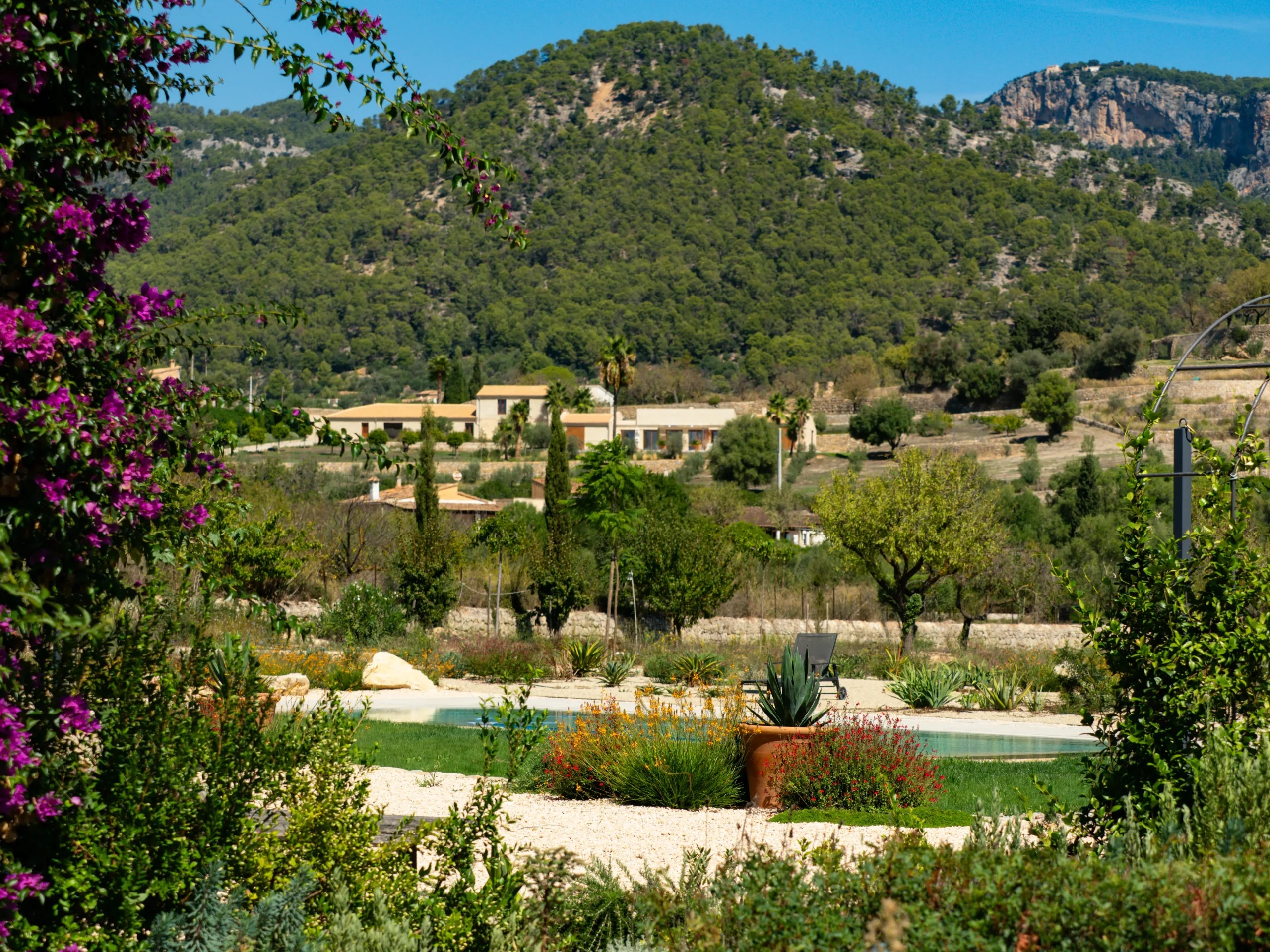 Wide view over a Mediterranean valley with olive groves, stone houses, and terraced hillsides.