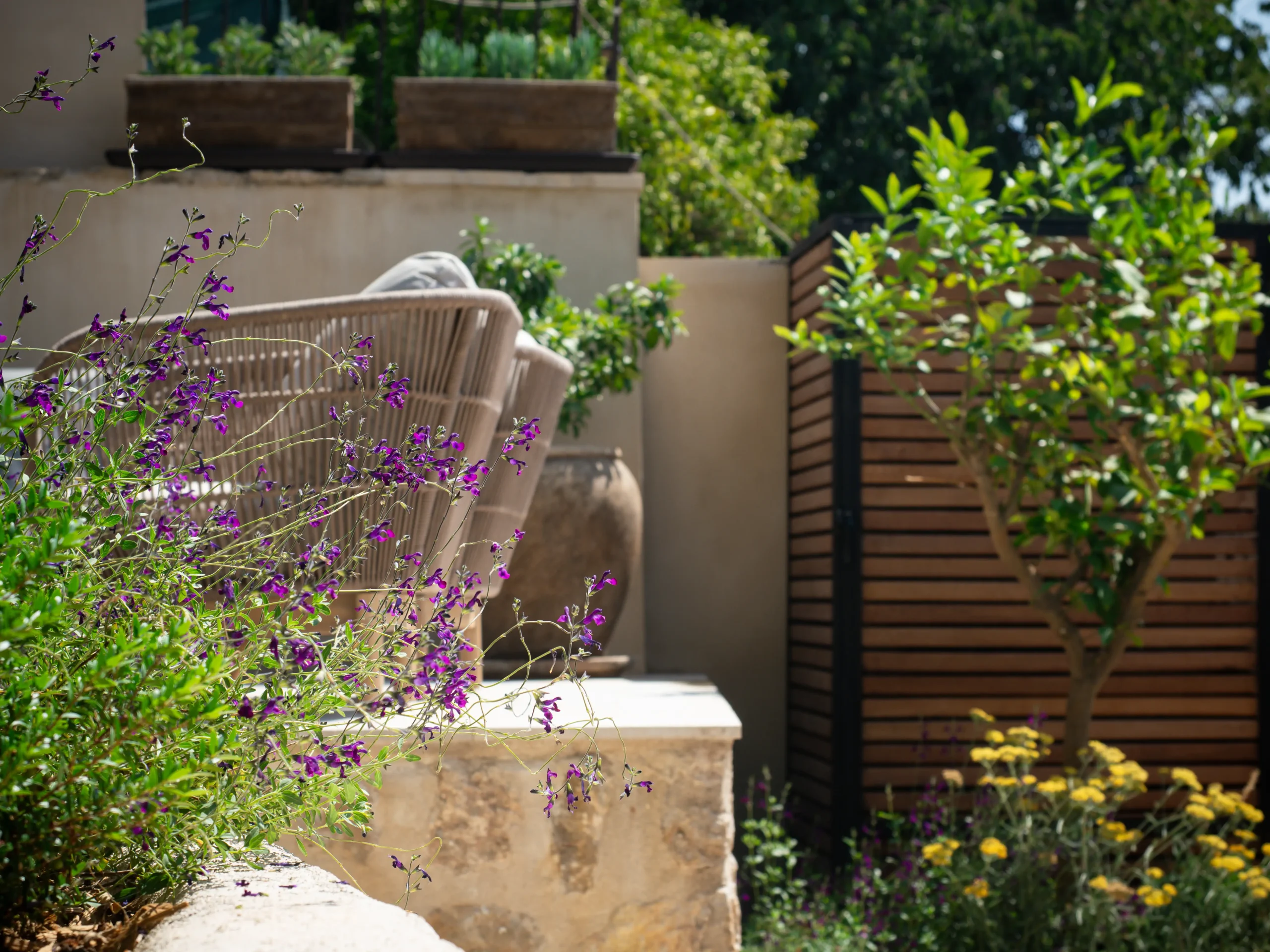 Lavender and purple Salvia spilling over a stone planter near a lounge chair.
