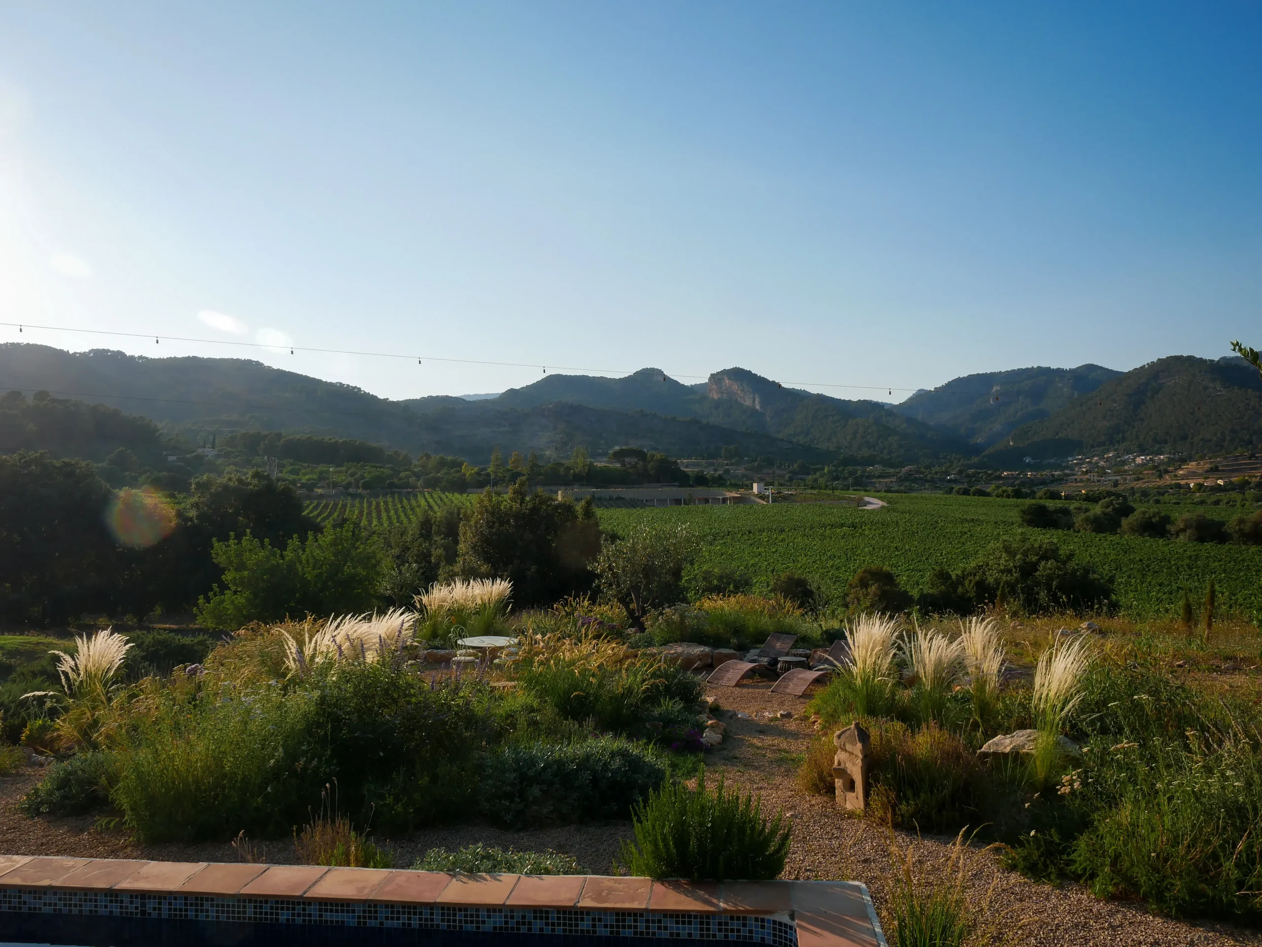 Expansive dry garden with grasses and shrubs overlooking a scenic Mallorcan valley.