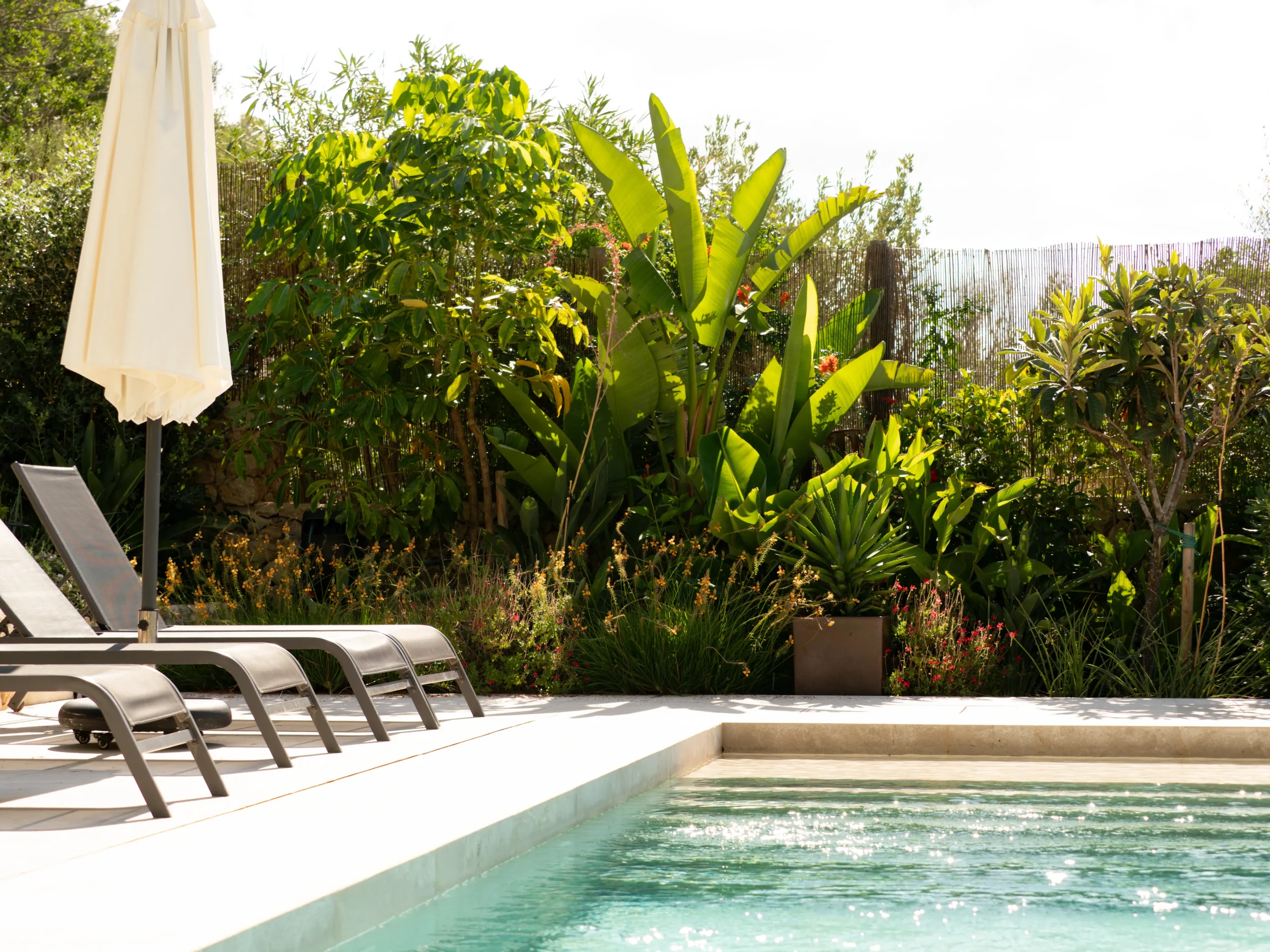 Pool with tropical planting and tall banana trees in a lush garden setting.