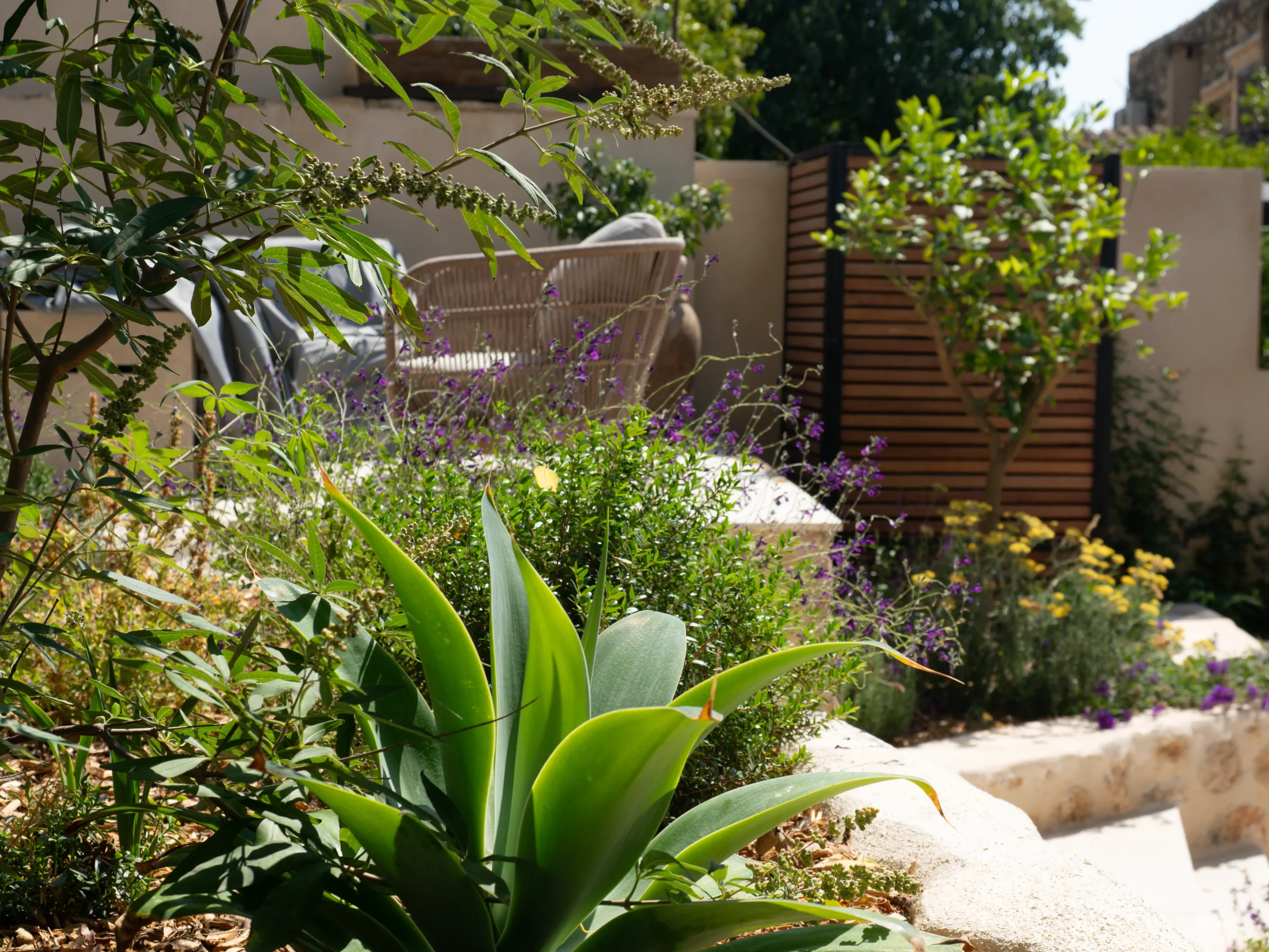 Lush courtyard planting with agaves, shrubs, and flowering herbs.