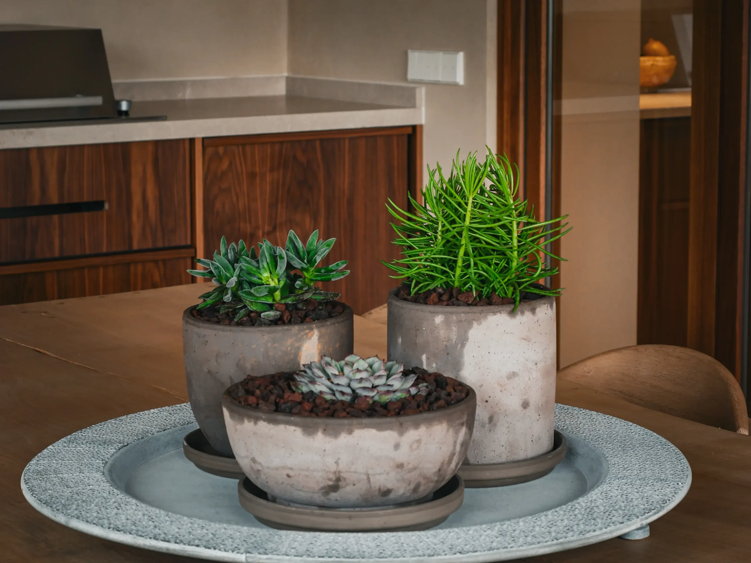 Indoor display of three modern pots filled with mixed succulents.