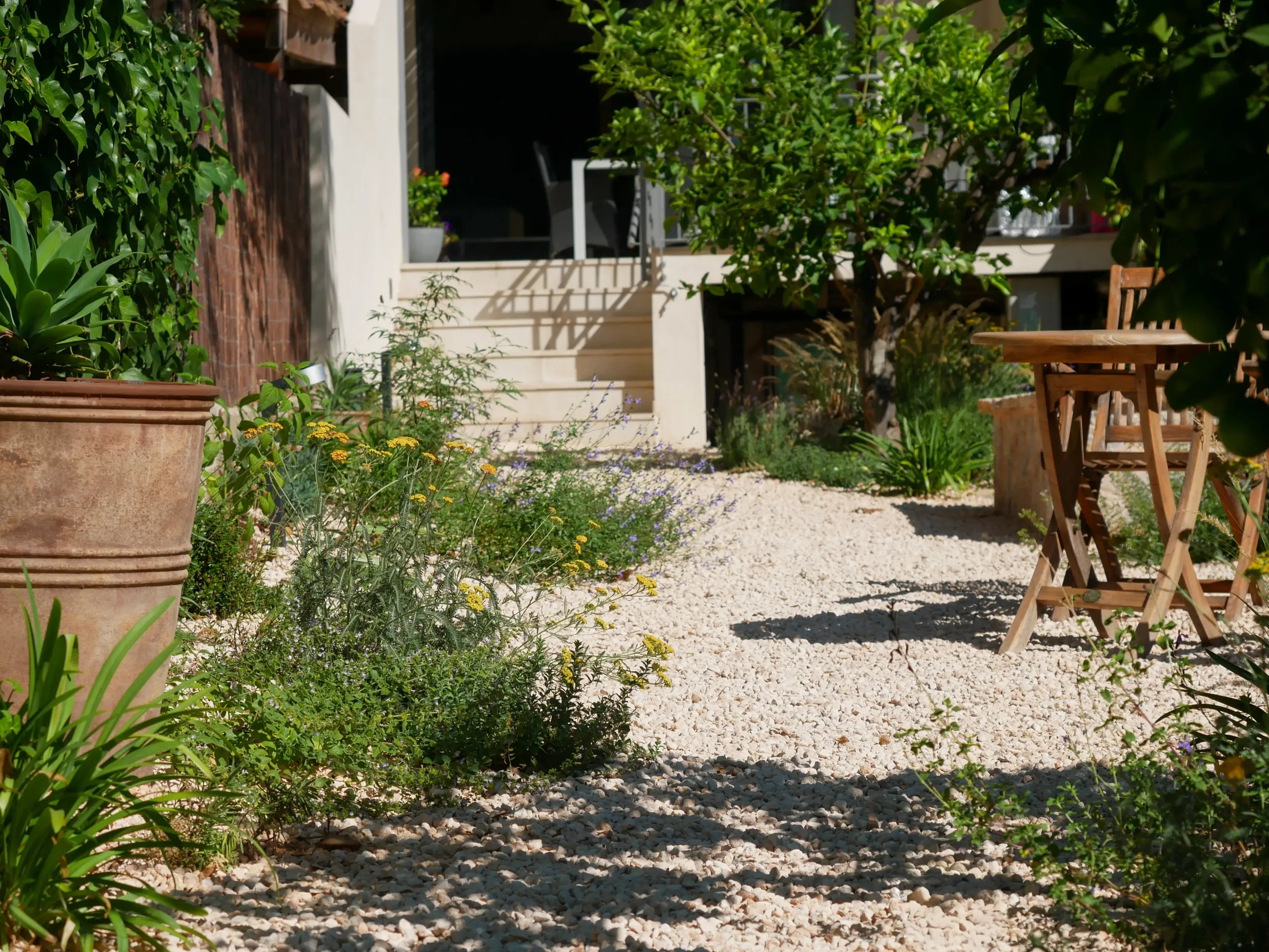 Courtyard with gravel path, citrus trees, and drought-tolerant planting.