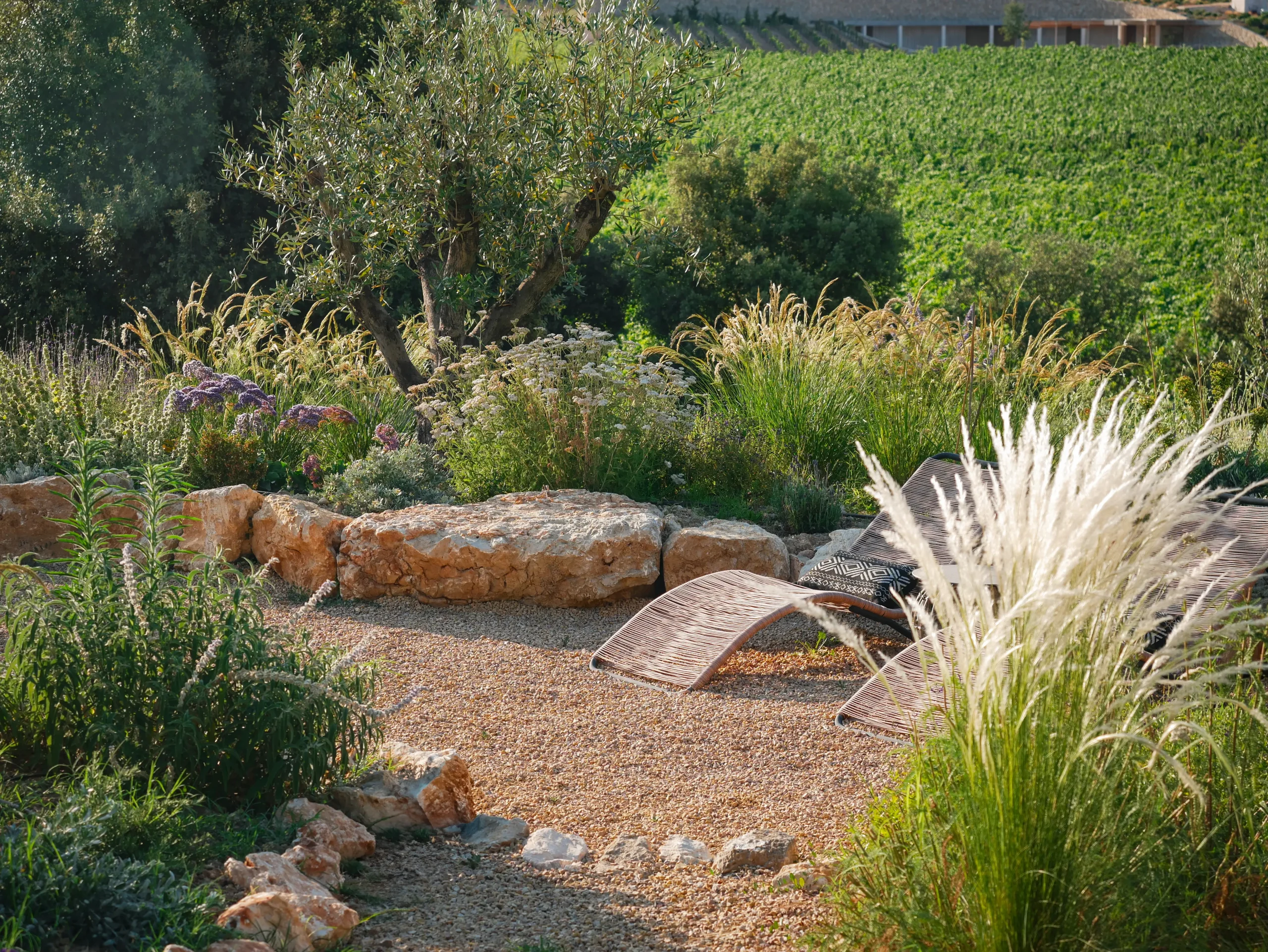 Dry creek bed garden design with boulders, grasses, and drought-tolerant planting.