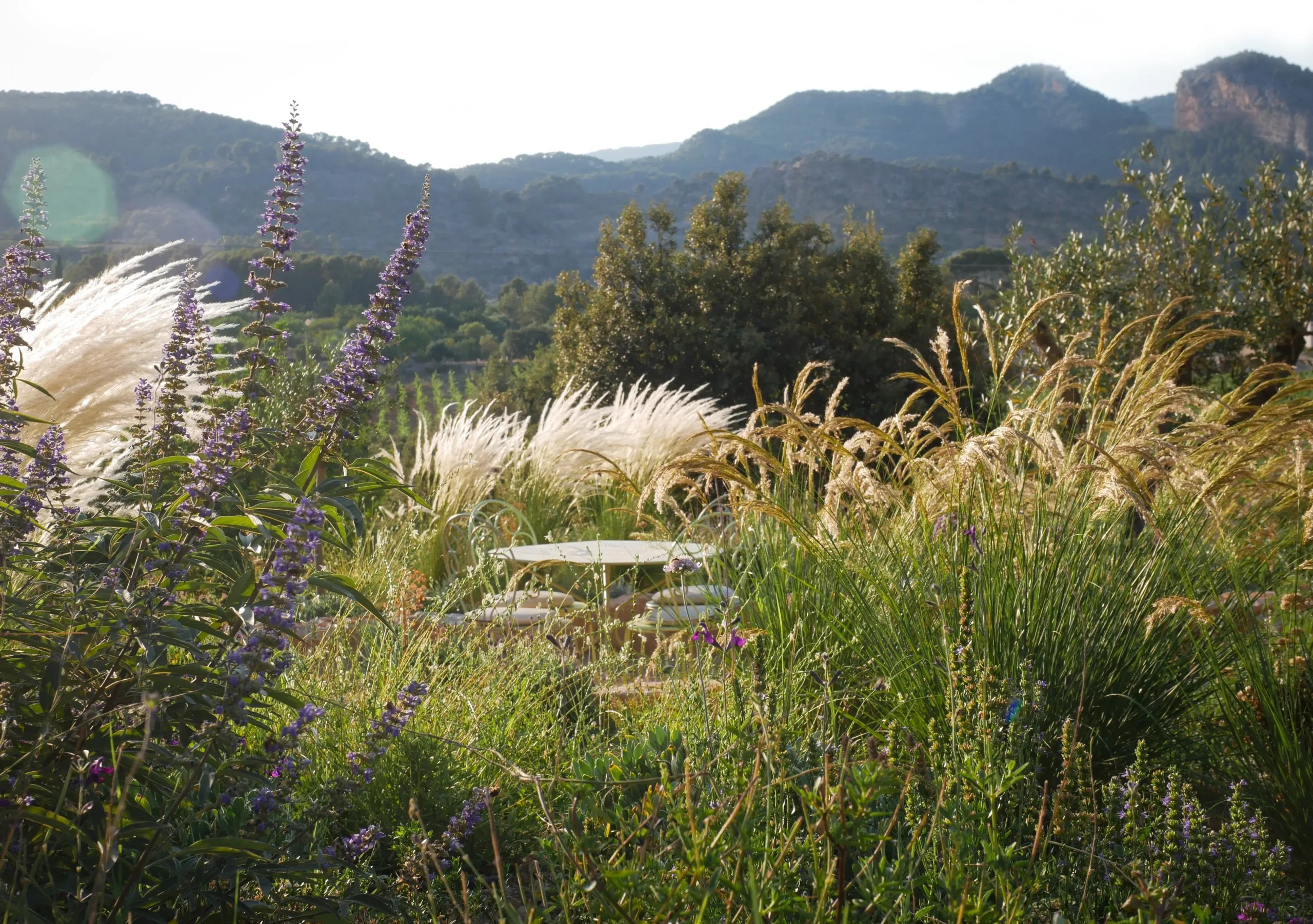 Wild planting of Vetiver, Miscanthus, and Vitex agnus-castus surrounding a garden bench with Tramuntana mountains behind
